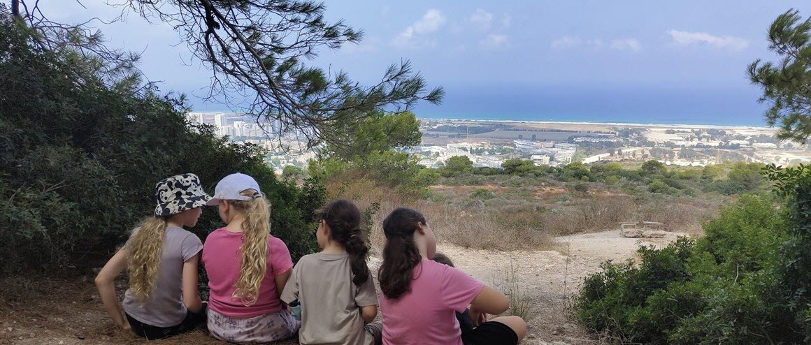 הכשרת מורים בגישות אלטרנטיביות